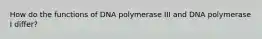 How do the functions of DNA polymerase III and DNA polymerase I differ?