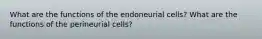 What are the functions of the endoneurial cells? What are the functions of the perineurial cells?