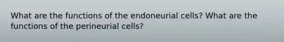 What are the functions of the endoneurial cells? What are the functions of the perineurial cells?