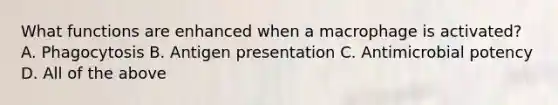 What functions are enhanced when a macrophage is activated? A. Phagocytosis B. Antigen presentation C. Antimicrobial potency D. All of the above