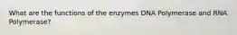 What are the functions of the enzymes DNA Polymerase and RNA Polymerase?