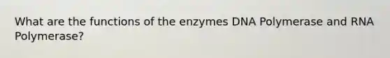 What are the functions of the enzymes DNA Polymerase and RNA Polymerase?