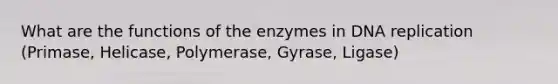 What are the functions of the enzymes in DNA replication (Primase, Helicase, Polymerase, Gyrase, Ligase)