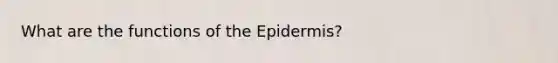 What are the functions of the Epidermis?