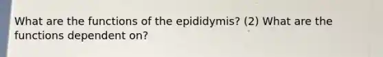 What are the functions of the epididymis? (2) What are the functions dependent on?