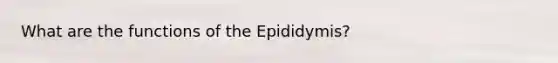 What are the functions of the Epididymis?