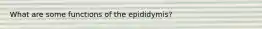 What are some functions of the epididymis?