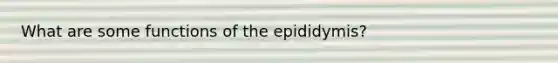 What are some functions of the epididymis?