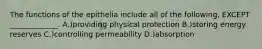 The functions of the epithelia include all of the following, EXCEPT _____________. A.)providing physical protection B.)storing energy reserves C.)controlling permeability D.)absorption