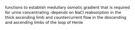 functions to establish medullary osmotic gradient that is required for urine concentrating -depends on NaCl reabsorption in the thick ascending limb and countercurrent flow in the descending and ascending limbs of the loop of Henle