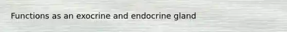 Functions as an exocrine and endocrine gland