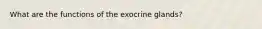 What are the functions of the exocrine glands?