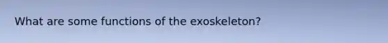 What are some functions of the exoskeleton?