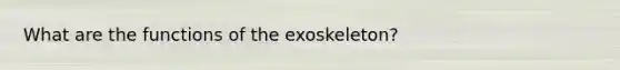 What are the functions of the exoskeleton?