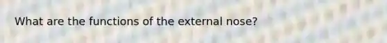 What are the functions of the external nose?