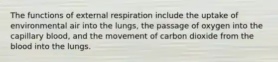 The functions of external respiration include the uptake of environmental air into the lungs, the passage of oxygen into the capillary blood, and the movement of carbon dioxide from the blood into the lungs.