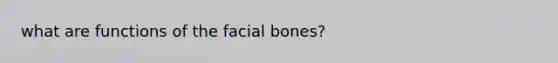 what are functions of the facial bones?