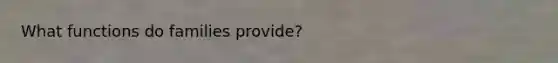 What functions do families provide?