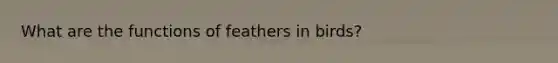 What are the functions of feathers in birds?