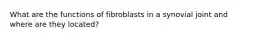 What are the functions of fibroblasts in a synovial joint and where are they located?