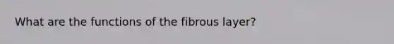 What are the functions of the fibrous layer?