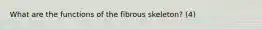 What are the functions of the fibrous skeleton? (4)