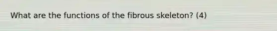 What are the functions of the fibrous skeleton? (4)