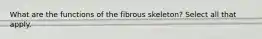 What are the functions of the fibrous skeleton? Select all that apply.