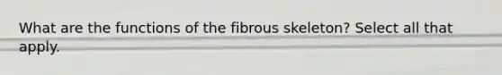 What are the functions of the fibrous skeleton? Select all that apply.