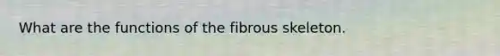 What are the functions of the fibrous skeleton.