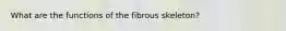 What are the functions of the fibrous skeleton?