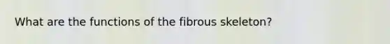 What are the functions of the fibrous skeleton?