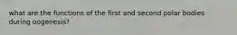 what are the functions of the first and second polar bodies during oogenesis?