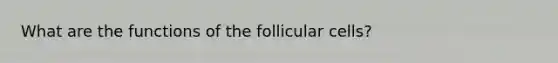 What are the functions of the follicular cells?