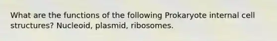 What are the functions of the following Prokaryote internal cell structures? Nucleoid, plasmid, ribosomes.