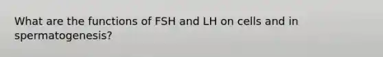 What are the functions of FSH and LH on cells and in spermatogenesis?