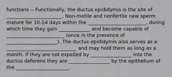 functions -- Functionally, the ductus epididymis is the site of _______________________. Non-motile and nonfertile new sperm mature for 10-14 days within the ________________________, during which time they gain _____________ and become capable of ________________________ (once in the presence of _____________________). The ductus epididymis also serves as a _____________________________ and may hold them as long as a month. If they are not expelled by _________________ into the ductus deferens they are _________________ by the epithelium of the ______________________.