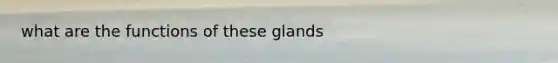 what are the functions of these glands