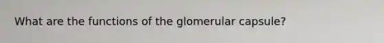 What are the functions of the glomerular capsule?