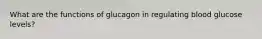 What are the functions of glucagon in regulating blood glucose levels?