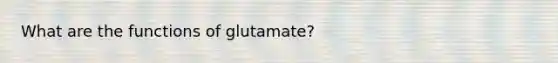 What are the functions of glutamate?