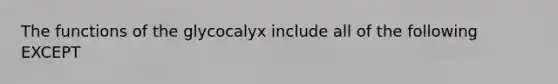 The functions of the glycocalyx include all of the following EXCEPT