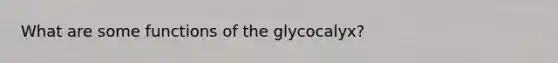 What are some functions of the glycocalyx?