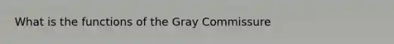 What is the functions of the Gray Commissure