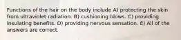 Functions of the hair on the body include A) protecting the skin from ultraviolet radiation. B) cushioning blows. C) providing insulating benefits. D) providing nervous sensation. E) All of the answers are correct.