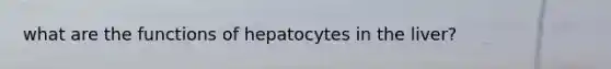 what are the functions of hepatocytes in the liver?