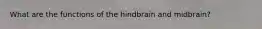 What are the functions of the hindbrain and midbrain?