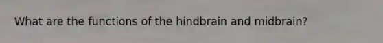 What are the functions of the hindbrain and midbrain?