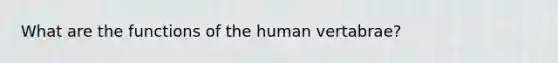 What are the functions of the human vertabrae?