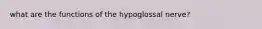 what are the functions of the hypoglossal nerve?